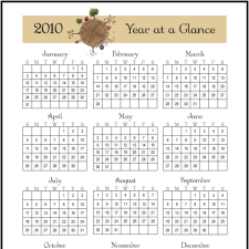 at-a-glance-225