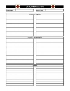 Medical Planner Kit {FULL SIZE; UNDATED} PRINTABLE – My Computer